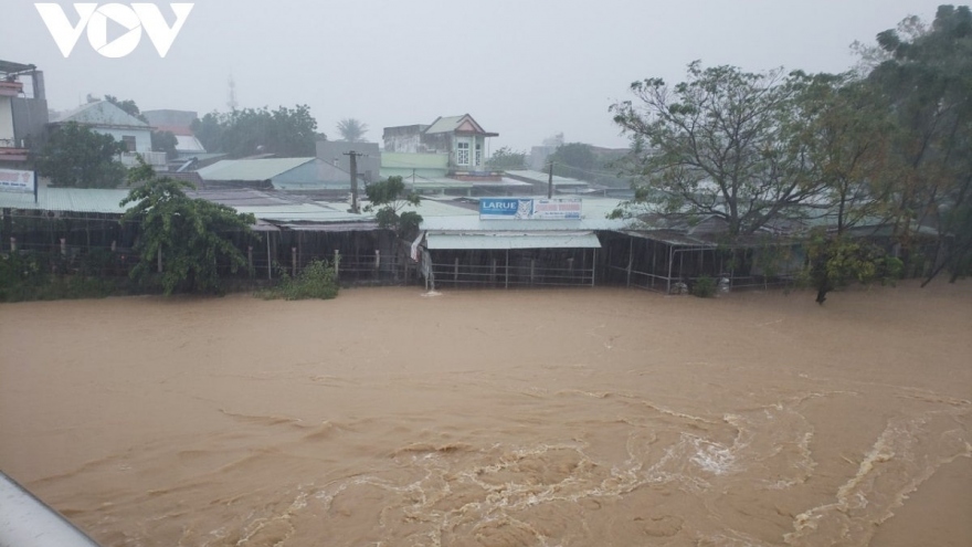 Vietnam ready to unite with countries to respond to natural disasters